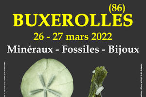1er SALON MINERAUX FOSSILES BIJOUX de BUXEROLLES (Vienne)