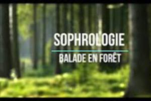 Marche sophrologique à Chambon-la-Forêt