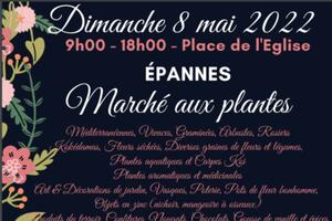 MARCHE AUX PLANTES