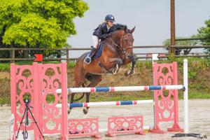 photo Concours de Sauts d'Obstacles à Plélan-le-Petit