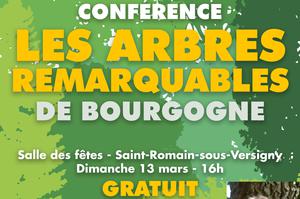 photo Conférence LES ARBRES REMARQUABLES DE BOURGOGNE