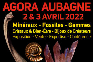 Salon Minéraux Fossiles Gemmes Cristaux & Bien-Etre Bijoux de Créateurs et Exposition de Dinosaures