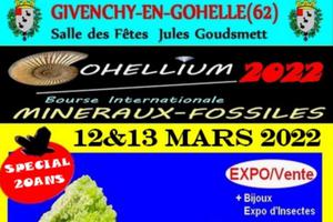 GOHELLIUM2022, Bourse Minéraux Fossiles