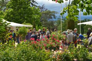 26ème Fête des Plantes au Château de Chavaniac Lafayette 4 & 5 juin