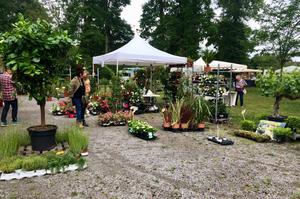 LE PRINTEMPS DE LA GLACIERE