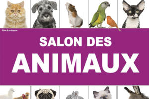 Salon des Animaux