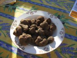 MARCHÉ AUX TRUFFES 