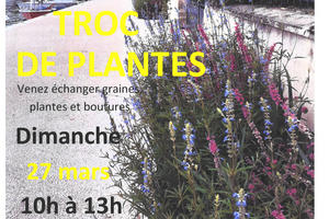 Et si vous échangiez plantes, graines ou boutures ? Un groupe