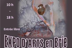 Exposition d'Arts en Brie