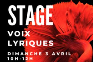 STAGE DE CHANT LYRIQUE