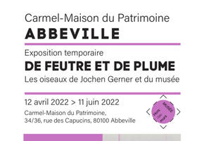 De feutre et de plume Les oiseaux de Jochen Gerner et du musée