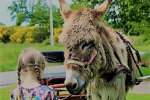 Balade en calèche au pays des contes ! 