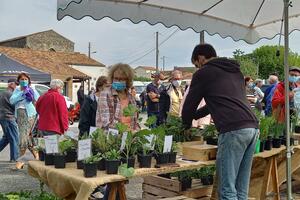 FETE DES FLEURS