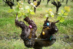 Pâques en vignes au Château haut- Claverie