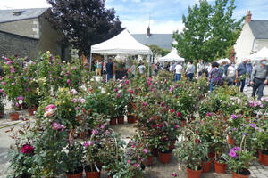 festival des roses de chedigny