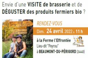 Visite brasserie artisanale + bar à bières et grignottages