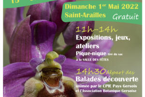 Fête de l'orchidée