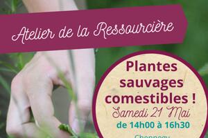 Plantes Sauvages Comestibles