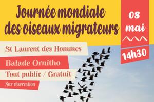 Les oiseaux migrateurs