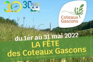 Balade sur les coteaux gascons