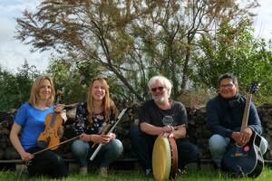 Concert de musique traditionnelle irlandaise