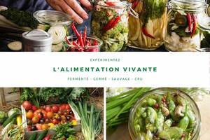 Stage Alimentation Vivante