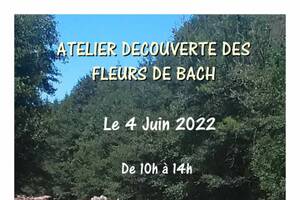 Atelier/initiation fleurs de Bach