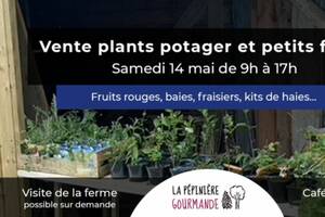 Vente de plants potagers et de petits fruits