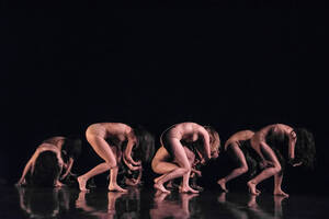 Humming-bird / Colibri  - Strasbourg danse l’été