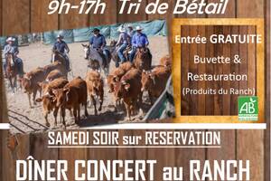 Concert Pop/Rock et Ambiance Cow-boy