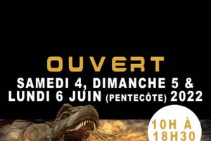 Exposition de dinosaures à flers