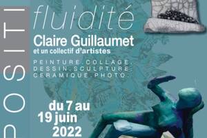 Expo FLUIDITÉ: Claire GUILLAUMET et ses amis