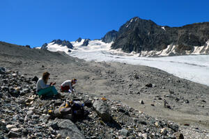 Quels écosystèmes émergent quand les glaciers reculent ?