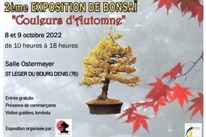 Exposition de bonsaïs 