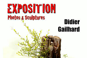 Exposition Photos et Sculptures