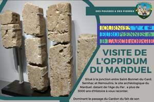 Journées Européennes de l'Archéologie - Visite de l'Oppidum du Marduel