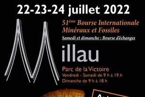 51ème bourse internationale minéraux fossiles gemmes Millau