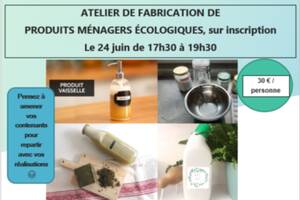 Atelier de fabrication de produits ménagers écologiques