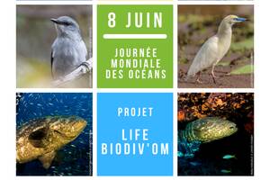 Exposition sur la protection de la nature ultramarine