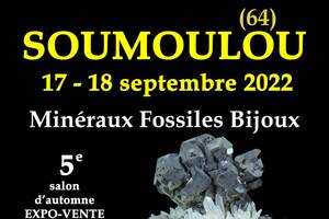 5e SALON MINERAUX FOSSILES BIJOUX d'automne de SOUMOULOU - PYRENEES-ATLANTIQUES - NOUVELLE-AQUITAINE - FRANCE