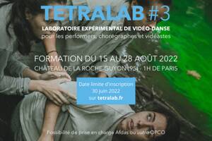 TETRALAB #3 - Stage international de vidéo-danse