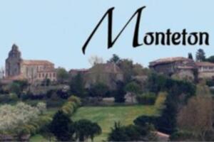 Vide Greniers Annuel du Rotary à MONTETON