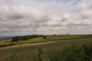 Marche découverte avec un écologue à Saint-Micaud et Marigny