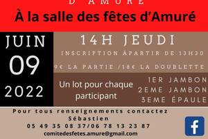 concours de belote Amuré 9 juin