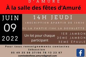 concours belote amure