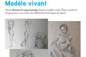 Dessin anatomie Modèle vivant