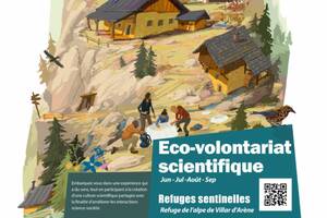 Eco-volontariat scientifique