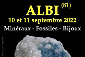 7e SALON MINERAUX FOSSILES BIJOUX d'ALBI - TARN - OCCITANIE - FRANCE