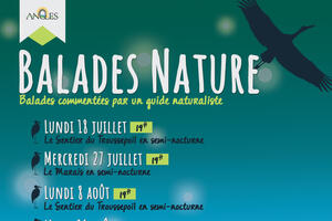 Balades nature