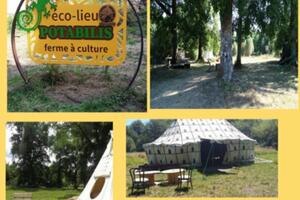 Stage de yoga traditionnel pour toutes et tous une semaine, 1 journée, plus, pleine nature, calme, St Magne (33), lac d’Hostens